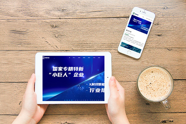 公司網(wǎng)站建設(shè)