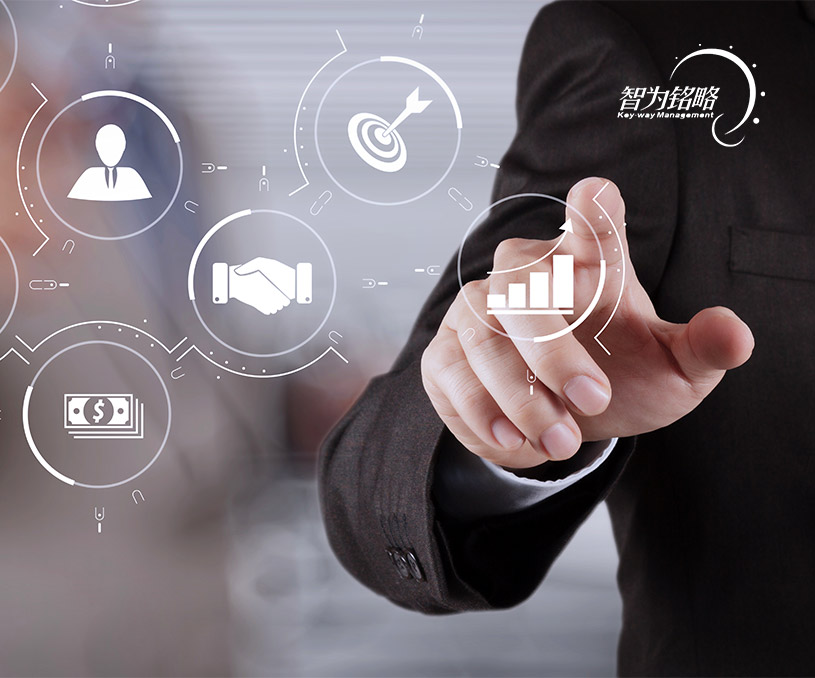 蘇州智為銘略企業(yè)管理有限公司項目申報營銷型網(wǎng)站制作建設(shè)開發(fā)案例